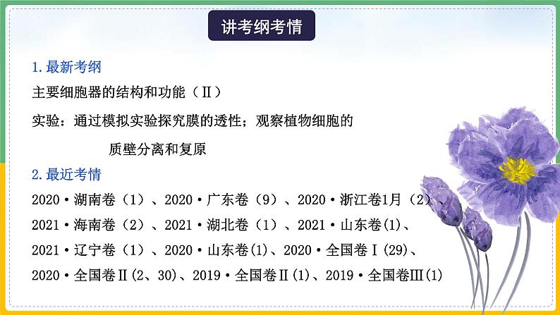 【备战2023高考】生物总复习——专题06《细胞器和生物膜系统》课件（新教材新高考）04