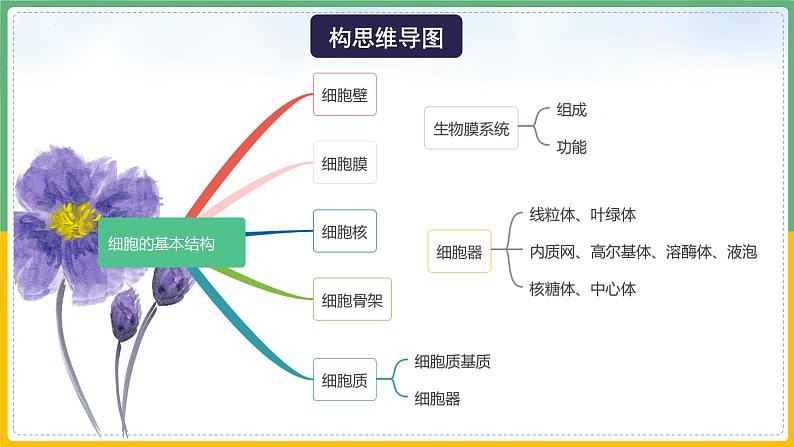 【备战2023高考】生物总复习——专题06《细胞器和生物膜系统》课件（新教材新高考）06