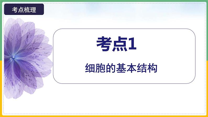 【备战2023高考】生物总复习——专题06《细胞器和生物膜系统》课件（新教材新高考）07