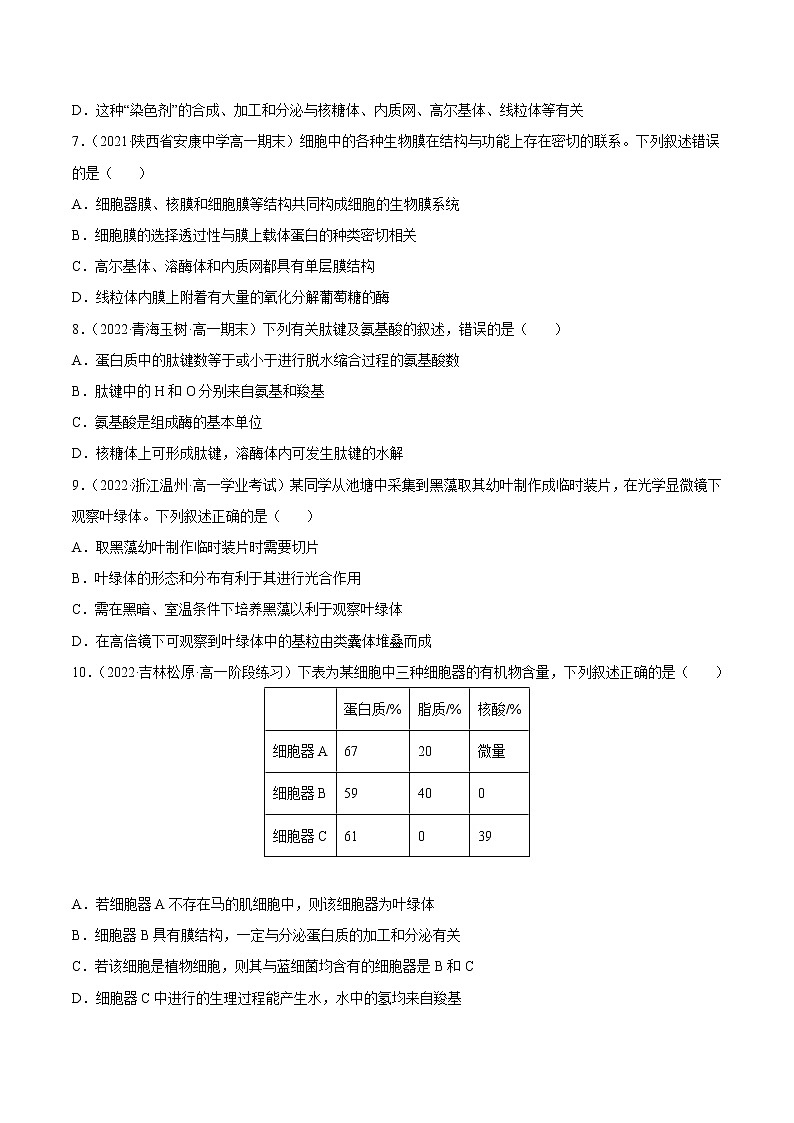 【备战2023高考】生物总复习——专题06《细胞器和生物膜系统》练习（新教材新高考）02