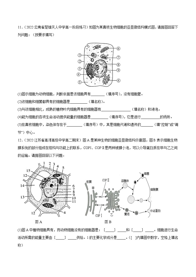 【备战2023高考】生物总复习——专题06《细胞器和生物膜系统》练习（新教材新高考）03