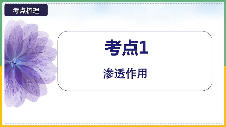 【备战2023高考】生物总复习——专题07《细胞的物质输入和输出》课件（新教材新高考）第7页