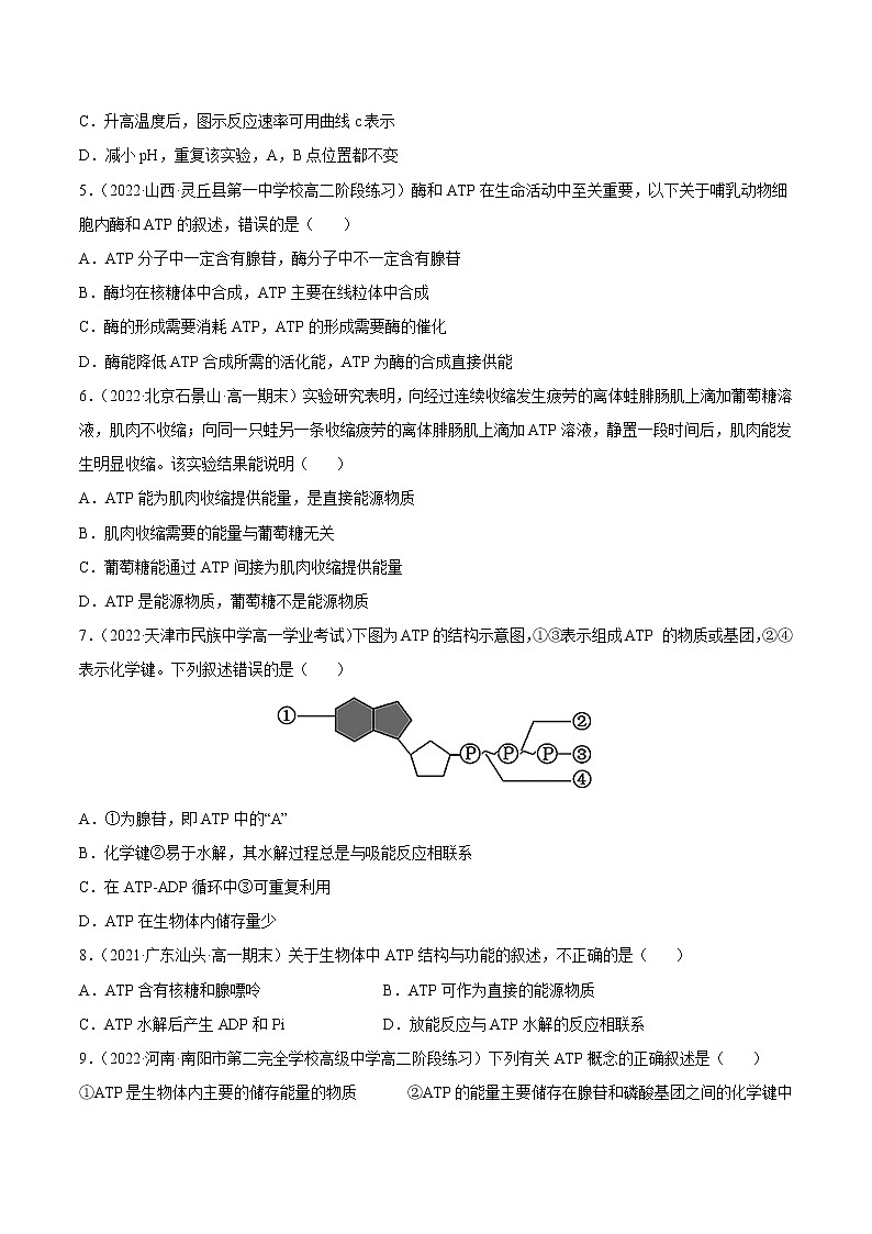 【备战2023高考】生物总复习——专题08《酶和ATP》练习（新教材新高考）02