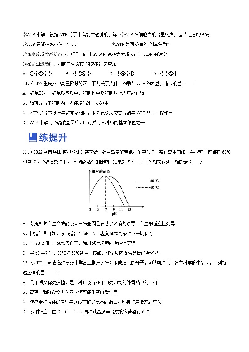 【备战2023高考】生物总复习——专题08《酶和ATP》练习（新教材新高考）03