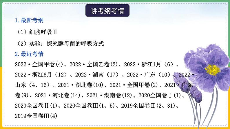 【备战2023高考】生物总复习——专题09《细胞呼吸》课件（新教材新高考）04