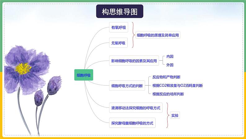 【备战2023高考】生物总复习——专题09《细胞呼吸》课件（新教材新高考）06