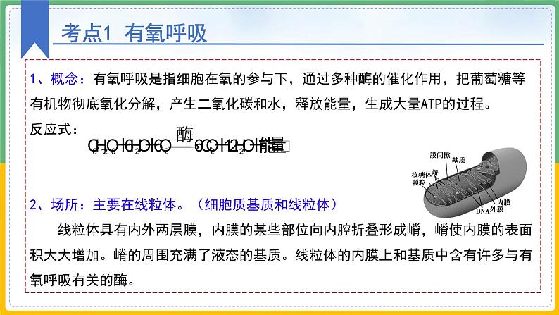 【备战2023高考】生物总复习——专题09《细胞呼吸》课件（新教材新高考）08