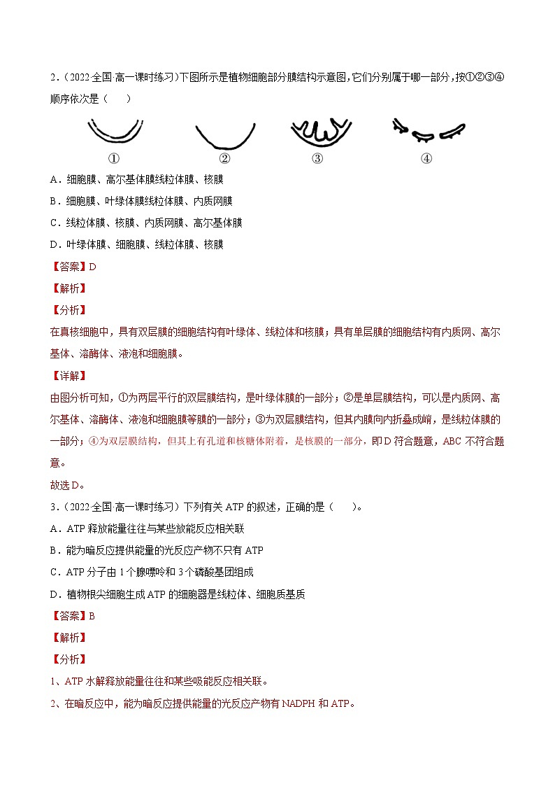 【备战2023高考】生物总复习——专题09《细胞呼吸》练习（新教材新高考）02