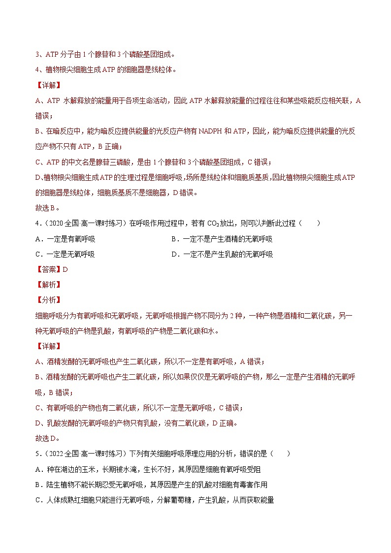 【备战2023高考】生物总复习——专题09《细胞呼吸》练习（新教材新高考）03