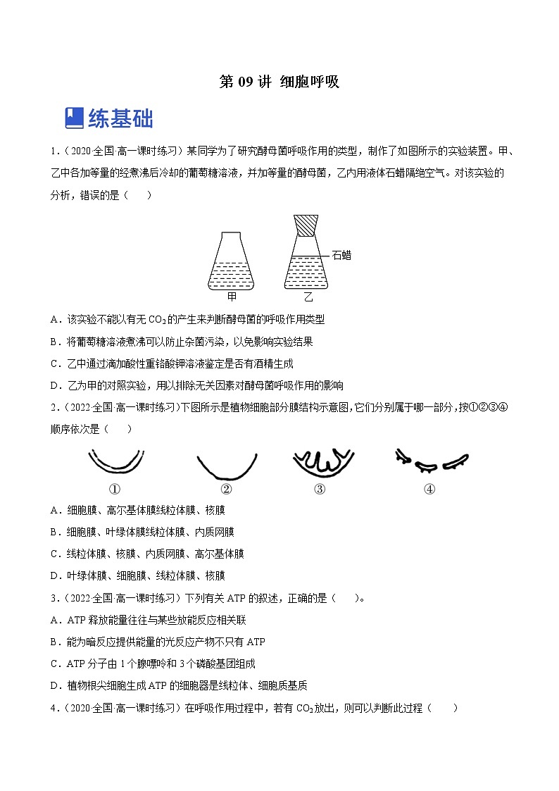 【备战2023高考】生物总复习——专题09《细胞呼吸》练习（新教材新高考）01