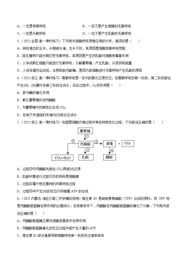 【备战2023高考】生物总复习——专题09《细胞呼吸》练习（新教材新高考）02