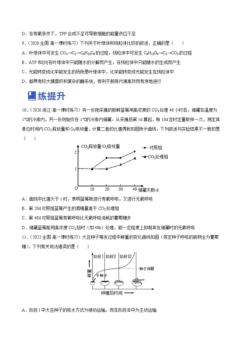 【备战2023高考】生物总复习——专题09《细胞呼吸》练习（新教材新高考）03