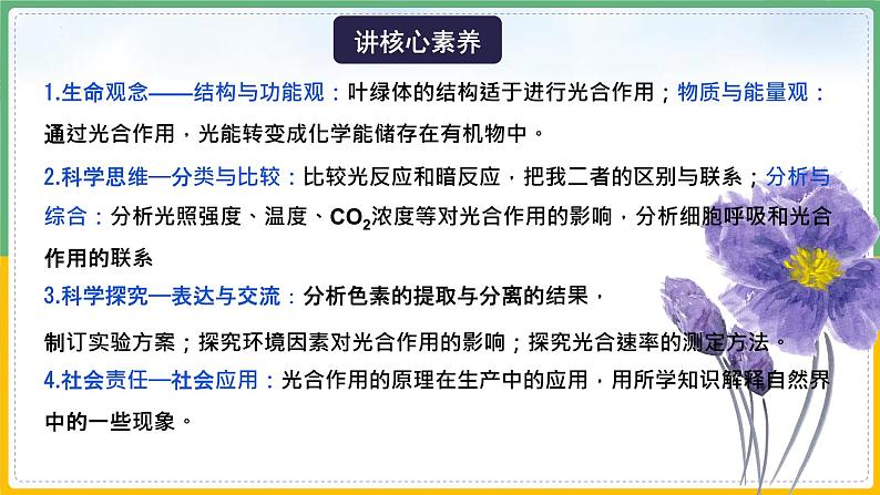 【备战2023高考】生物总复习——专题10《光合作用（一）》课件（新教材新高考）06