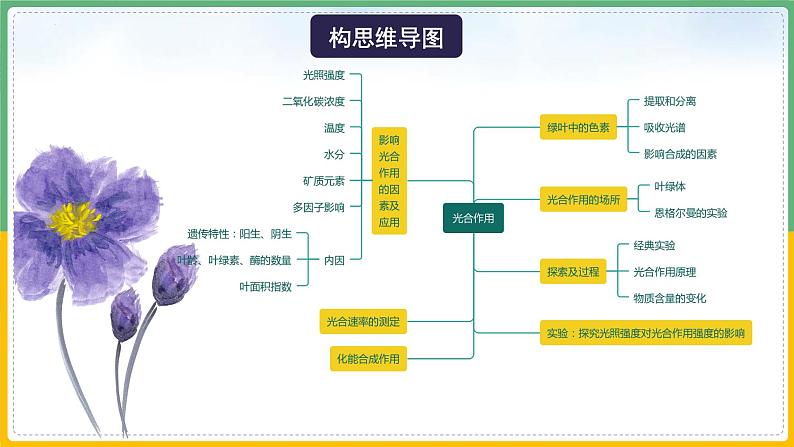 【备战2023高考】生物总复习——专题10《光合作用（一）》课件（新教材新高考）07