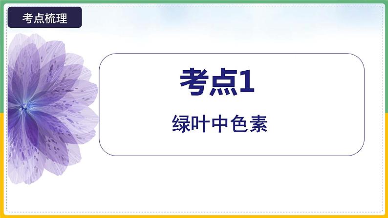 【备战2023高考】生物总复习——专题10《光合作用（一）》课件（新教材新高考）08