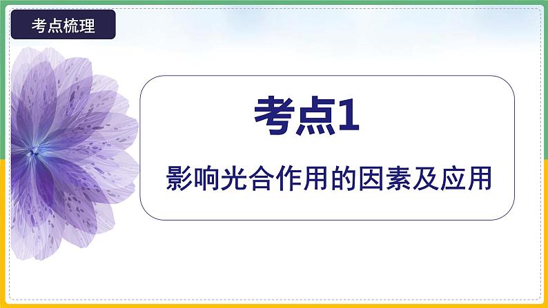 【备战2023高考】生物总复习——专题10《光合作用（二）》课件（新教材新高考）08