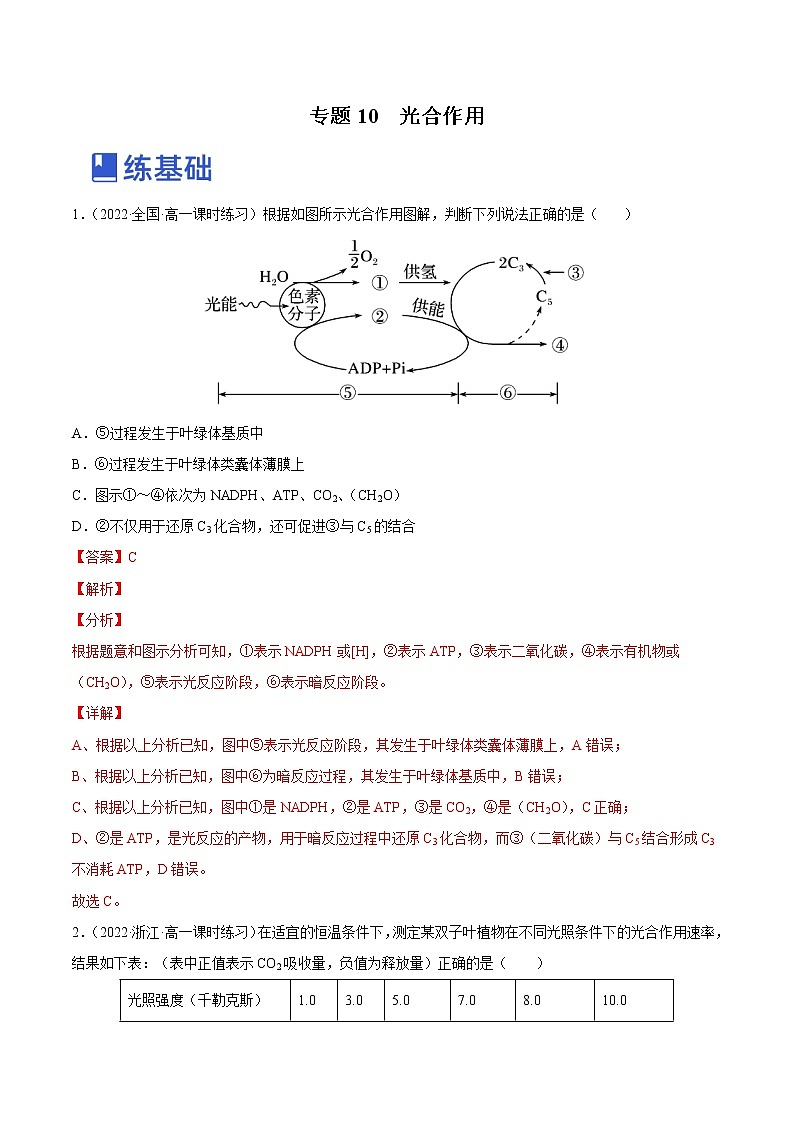 【备战2023高考】生物总复习——专题10《光合作用》练习（新教材新高考）01