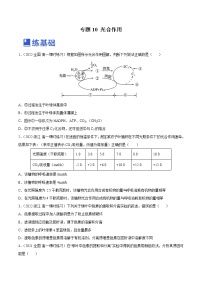 【备战2023高考】生物总复习——专题10《光合作用》练习（新教材新高考）