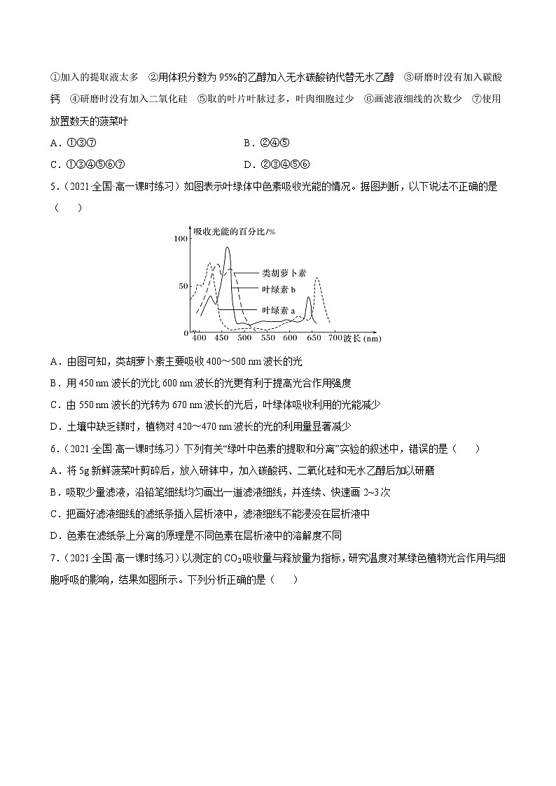 【备战2023高考】生物总复习——专题10《光合作用》练习（新教材新高考）02