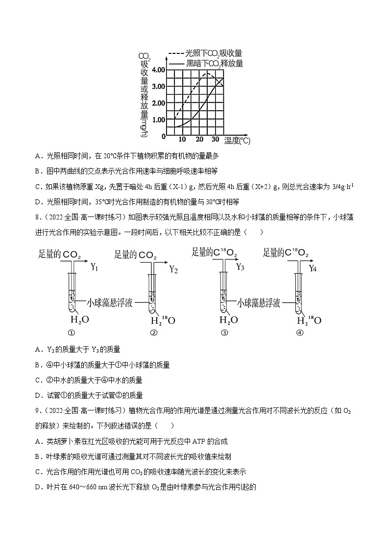 【备战2023高考】生物总复习——专题10《光合作用》练习（新教材新高考）03