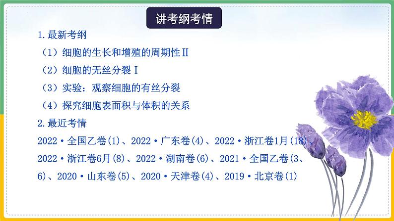 【备战2023高考】生物总复习——专题11《有丝分裂》课件（新教材新高考）04