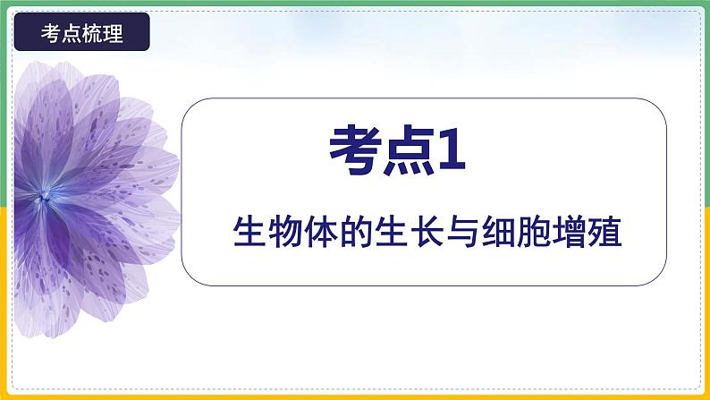 【备战2023高考】生物总复习——专题11《有丝分裂》课件（新教材新高考）07