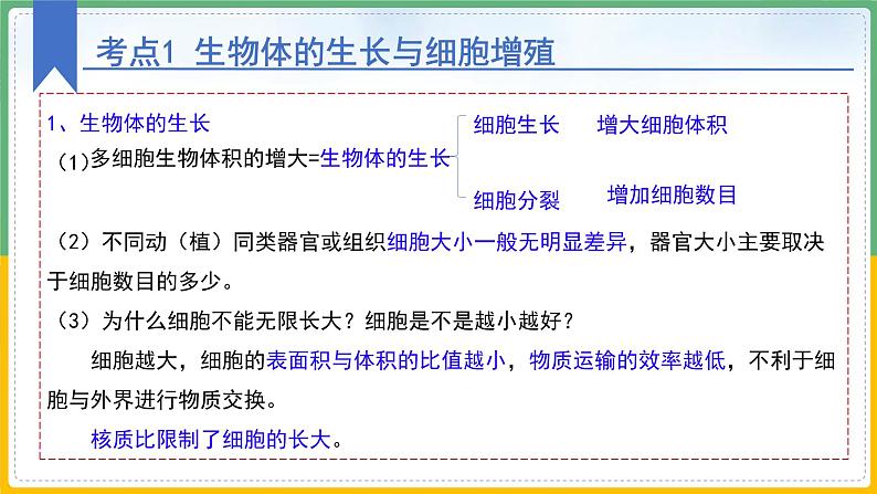 【备战2023高考】生物总复习——专题11《有丝分裂》课件（新教材新高考）08