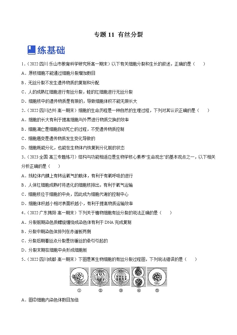 【备战2023高考】生物总复习——专题11《有丝分裂》练习（新教材新高考）01