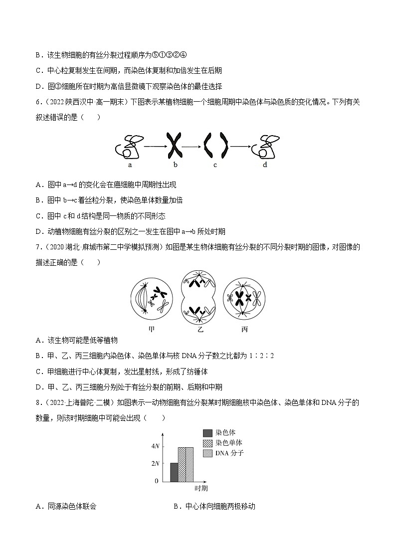 【备战2023高考】生物总复习——专题11《有丝分裂》练习（新教材新高考）02