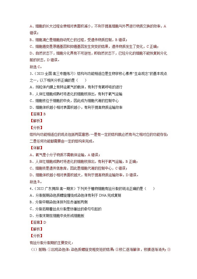 【备战2023高考】生物总复习——专题11《有丝分裂》练习（新教材新高考）02