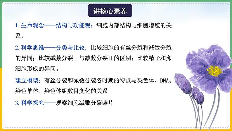 【备战2023高考】生物总复习——专题12《减数分裂和受精作用》课件（新教材新高考）第5页