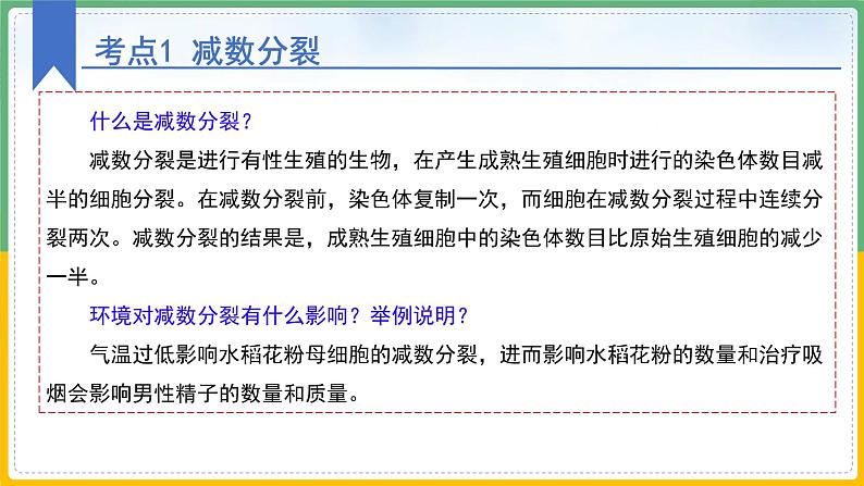 【备战2023高考】生物总复习——专题12《减数分裂和受精作用》课件（新教材新高考）第8页