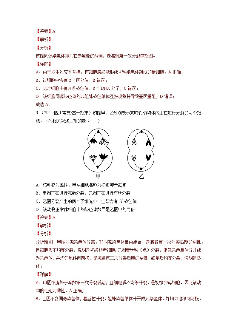 【备战2023高考】生物总复习——专题12《减数分裂和受精作用》练习（新教材新高考）02