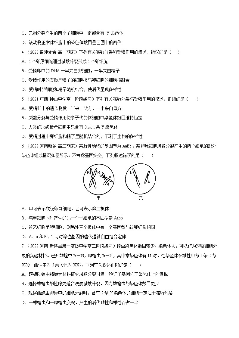 【备战2023高考】生物总复习——专题12《减数分裂和受精作用》练习（新教材新高考）02