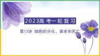 【备战2023高考】生物总复习——专题13《细胞的分化、衰老和死亡》课件（新教材新高考）