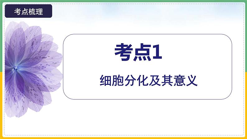 【备战2023高考】生物总复习——专题13《细胞的分化、衰老和死亡》课件（新教材新高考）07