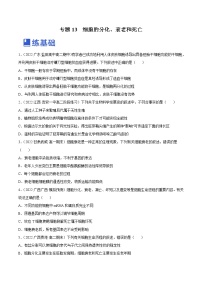 【备战2023高考】生物总复习——专题13《细胞的分化、衰老和死亡》练习（新教材新高考）