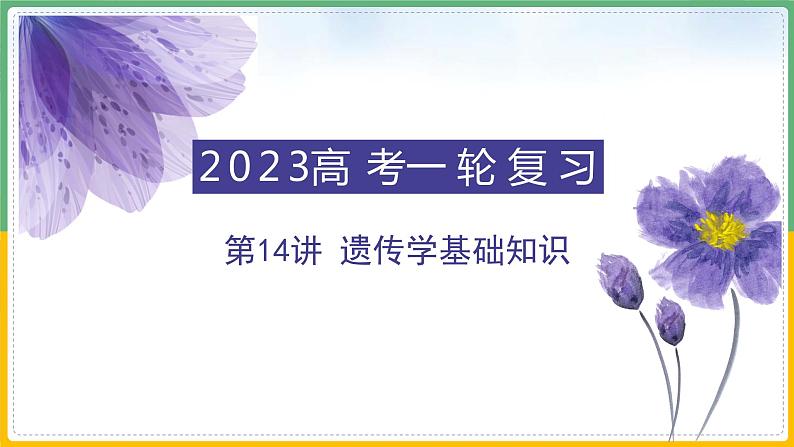 【备战2023高考】生物总复习——专题14《遗传基础知识》课件（新教材新高考）01