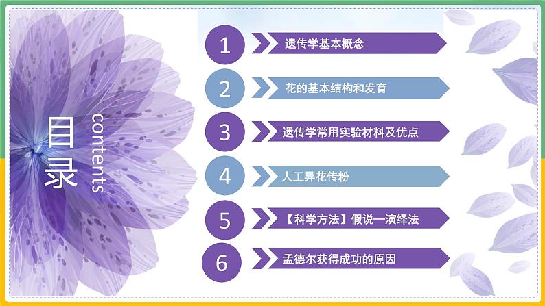 【备战2023高考】生物总复习——专题14《遗传基础知识》课件（新教材新高考）03