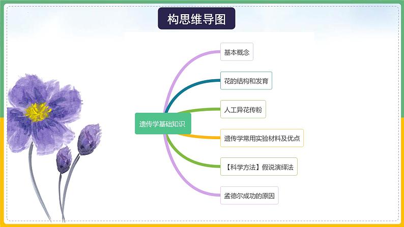 【备战2023高考】生物总复习——专题14《遗传基础知识》课件（新教材新高考）06