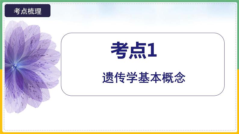 【备战2023高考】生物总复习——专题14《遗传基础知识》课件（新教材新高考）07