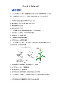 【备战2023高考】生物总复习——专题14《遗传基础知识》练习（新教材新高考）