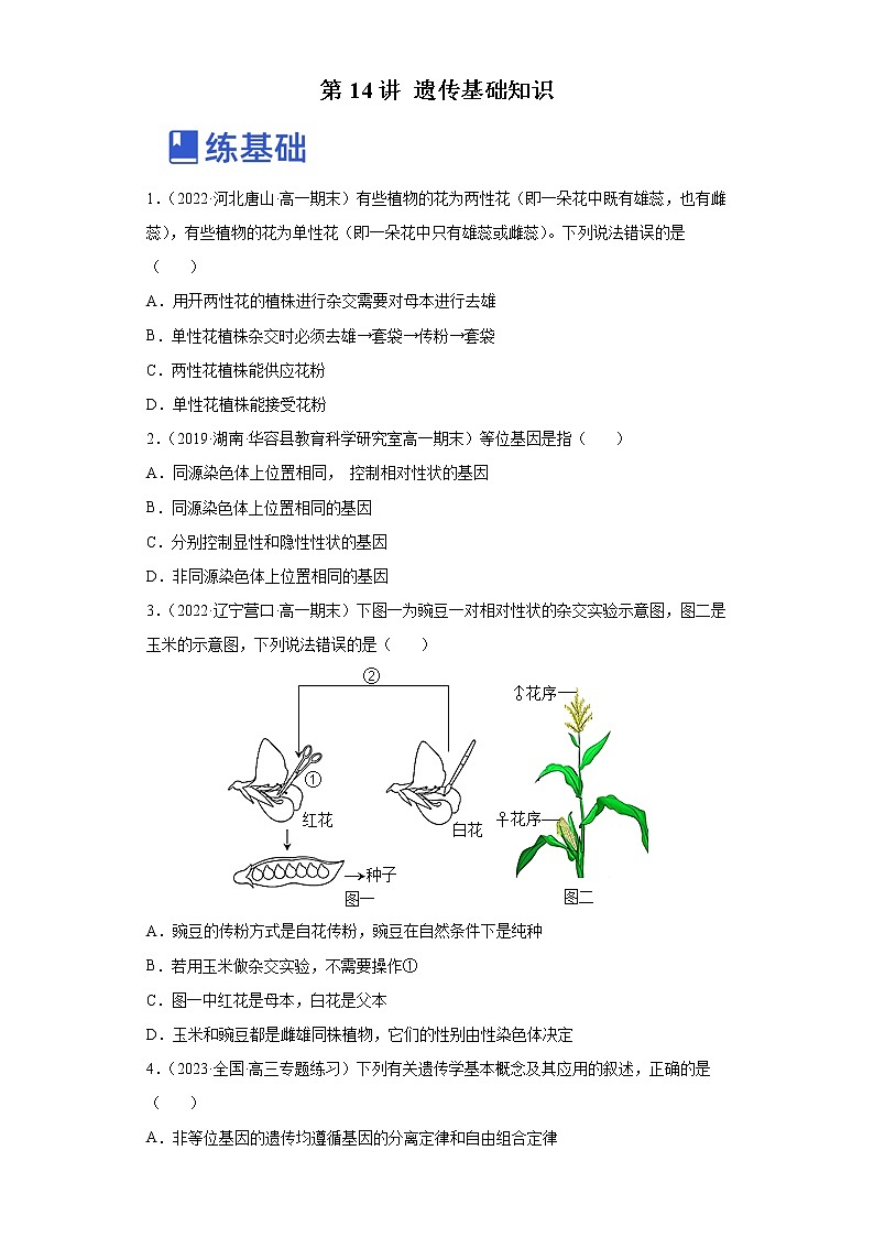 【备战2023高考】生物总复习——专题14《遗传基础知识》讲与练（原卷版）第1页