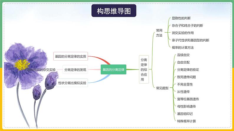 【备战2023高考】生物总复习——专题15《基因的分离定律》课件（新教材新高考）第6页