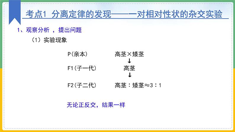 【备战2023高考】生物总复习——专题15《基因的分离定律》课件（新教材新高考）第8页