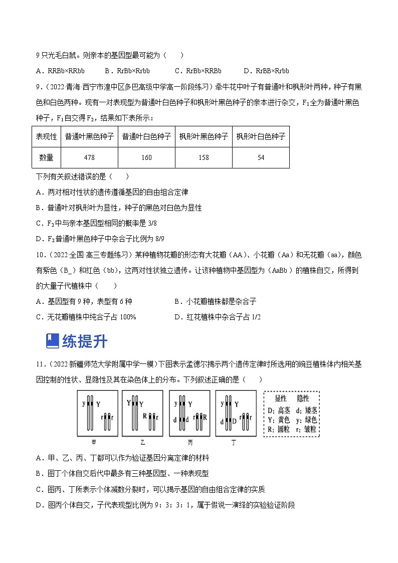 【备战2023高考】生物总复习——专题16《基因的自由组合定律》讲与练（原卷版）第3页