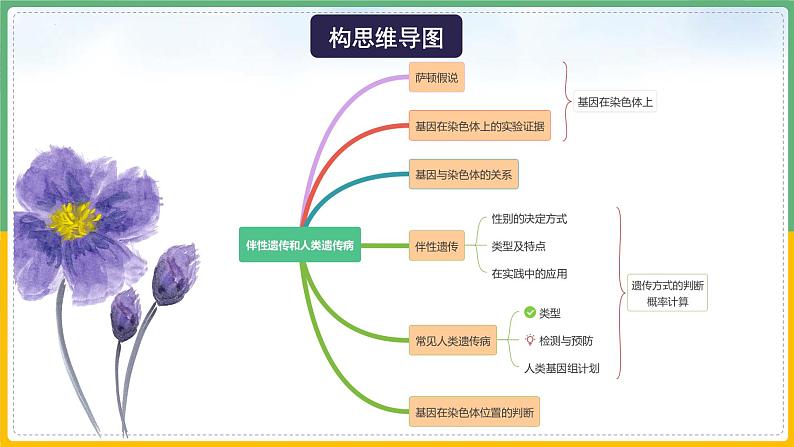 【备战2023高考】生物总复习——专题17《伴性遗传和人类遗传病（一）》课件（新教材新高考）07