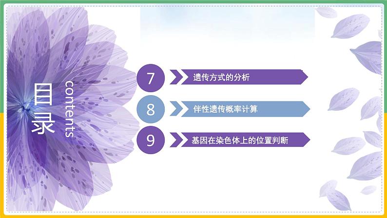 【备战2023高考】生物总复习——专题17《伴性遗传和人类遗传病（二）》课件（新教材新高考）第3页