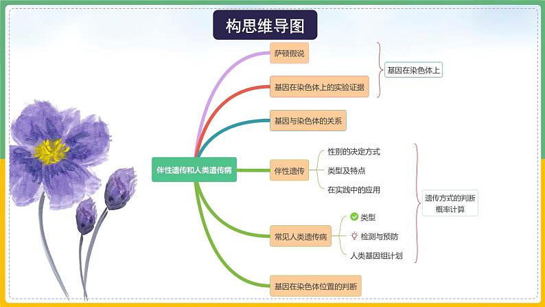 【备战2023高考】生物总复习——专题17《伴性遗传和人类遗传病（二）》课件（新教材新高考）第7页