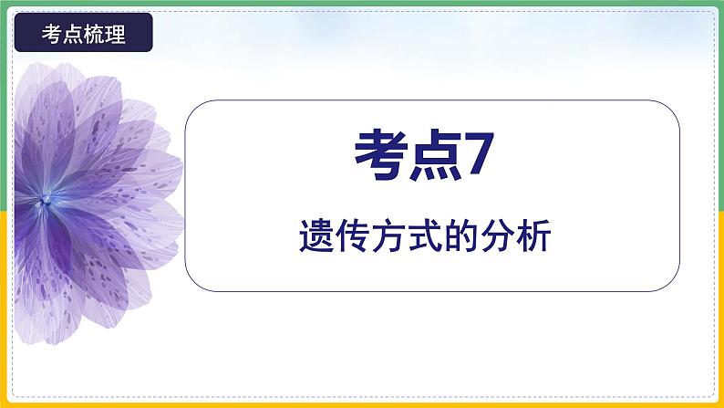 【备战2023高考】生物总复习——专题17《伴性遗传和人类遗传病（二）》课件（新教材新高考）第8页